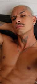 Acompanhante William