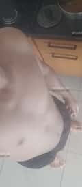 Acompanhante Danadinho