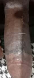 Acompanhante Pires