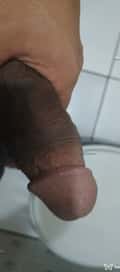 Acompanhante Wtafd