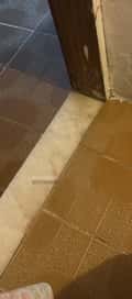 Acompanhante Perolla