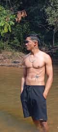 Acompanhante Dmboy