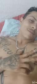 Acompanhante Leocarinhoso