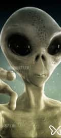 Acompanhante Alienn