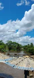 Acompanhante Vitor