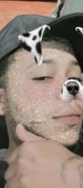 Acompanhante Thdosf