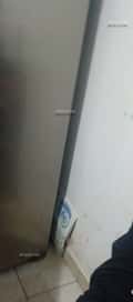 Acompanhante Luiz Henrique