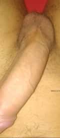 Acompanhante Fudencio
