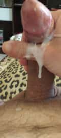 Acompanhante Safadinho