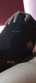 Acompanhante Ícaro