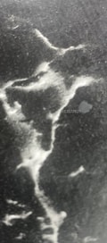 Acompanhante Yohara Dvilla
