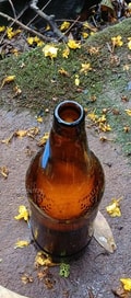 Acompanhante Alemão