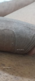 Acompanhante Neto Bengal