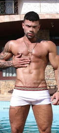 Acompanhante Apolo Guerra