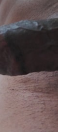 Acompanhante Negrol