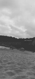 Acompanhante Eduardo