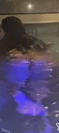 Acompanhante Lua Lovatelle