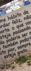 Acompanhante Queridinho