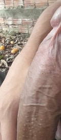 Acompanhante Lippzinho
