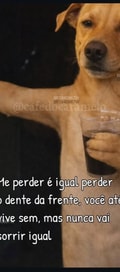 Acompanhante Pablo