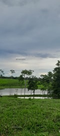Acompanhante Silvaxs