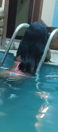 Acompanhante Gaby