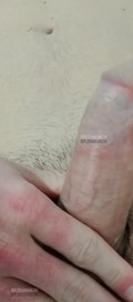 Acompanhante Pereira Tigrao