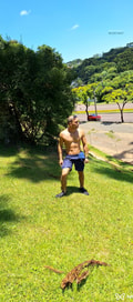 Acompanhante Latino