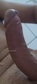 Acompanhante Gatodot