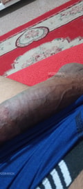 Acompanhante Pereira