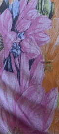 Acompanhante Sarah Vital