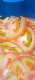 Acompanhante Cristal