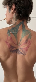 Acompanhante Smoke Ink
