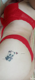 Acompanhante Panda