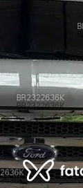 Acompanhante Brutos