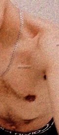 Acompanhante Nunes