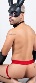 Acompanhante Gregory