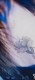 Acompanhante Melody
