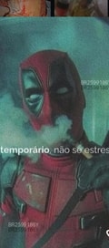 Acompanhante João Silva