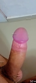 Acompanhante Gustavo