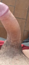 Acompanhante Baianinho