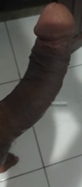 Acompanhante Zé Luis
