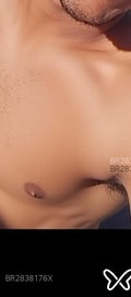 Acompanhante Ferreira