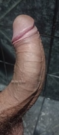 Acompanhante Felipinho
