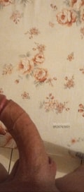 Acompanhante Gil Rosa