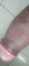 Acompanhante Mateus