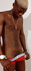 Acompanhante Azulão