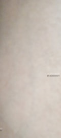 Acompanhante Solitário