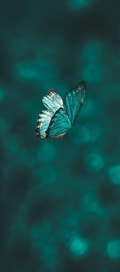 Acompanhante Buterflly