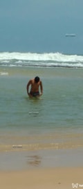 Acompanhante Japãozinho